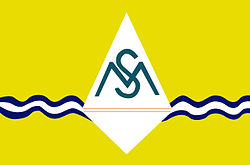Bandeira de Santa Maria (DF)